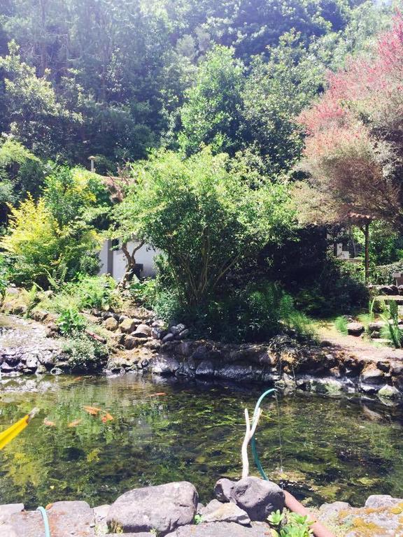 Ribeiro Frio Moinho Do Comandanteヴィラ エクステリア 写真